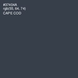 #37404A - Cape Cod Color Image
